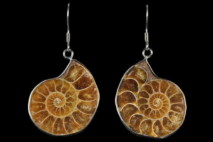 Fossil Ammonite Earrings - Million Years Old #112227